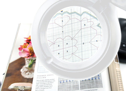 Triumph Magnifying LED Light